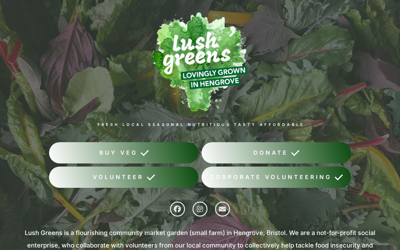 Lush Greens: Tackling Food Insecurity in Hengrove, Bristol